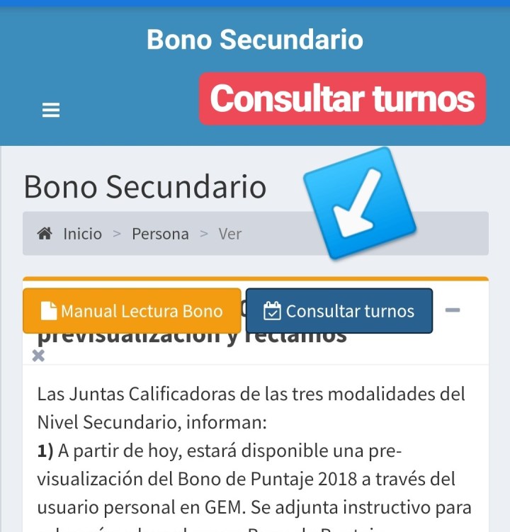 CONSULTA TURNOS INTRANET.jpeg